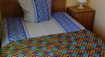 Фото номера  Двухместный номер Делюкс с 1 кроватью Гостиница Guest house in Otradnoye г. Отрадное 44