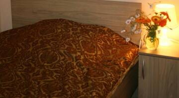 Фото номера  Двухместный номер Делюкс с 1 кроватью Гостиница Guest house in Otradnoye г. Отрадное 43